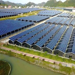 [Hot Item] Solar Farm Mounting System Agriculture Structure Solar Farm Bracket System