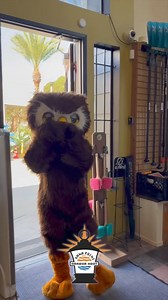 Join in on the fun this Saturday at the Dana Point Harbor Hoot! | Infinity SUP