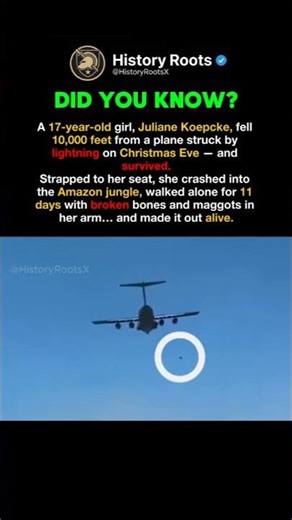 She Fell 10,000 Feet And Survived #facts #history