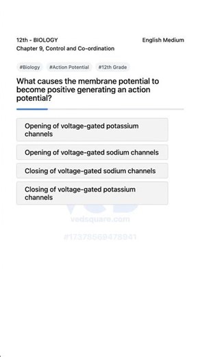 Understanding Action Potential in Biology 12th Grade Control and Coordination