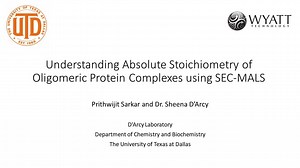 Understanding Absolute Stoichiometry of Oligomeric Protein Complexes Using SEC-MALS