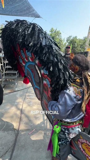 persiapan kepang perang celeng metu