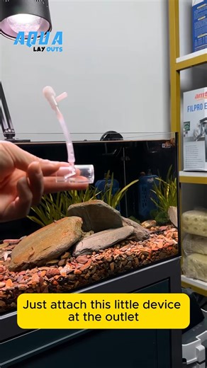 Aqua Layouts on Instagram: "Magic Oxygen Device #aqualayout #aquariumfish #viral #reels #fishtank #fishtanks #fishlover #aqualover #aquaX #foryou #viral #aquascape"