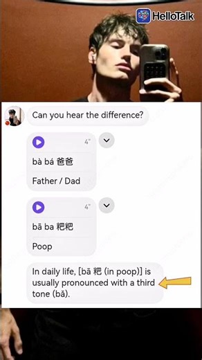 Mandarin Chinese Comparison: bà ba爸爸 vs. bǎ ba粑粑 🇨🇳 (HelloTalk chat)