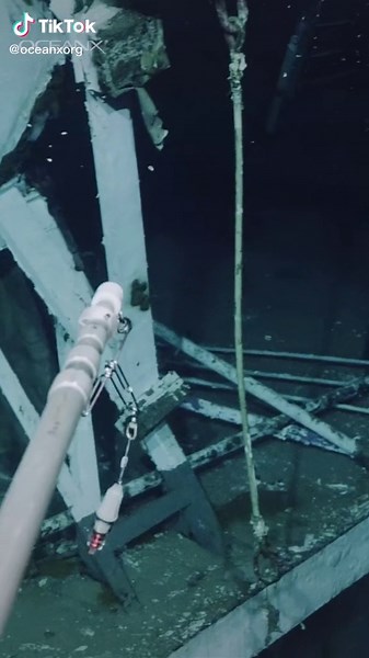 What’s lurking around this shipwreck? A really big squid. Full video is at the link in bio. #deepsea #squid #squidgame