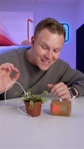 @plantwave lets plants sing. Tune into nature and listen to the music of your plants. #plantwave #plantmusic #plantsounds #electronics #plants #asmr | Landen Purifoy