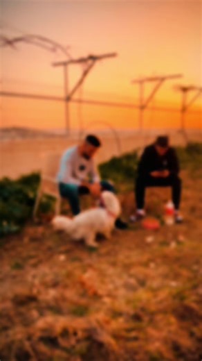 awad_fat 🩵🇵🇸 (@awad_3ofr)’s videos with الصوت الأصلي - awad_fat 🩵🇵🇸