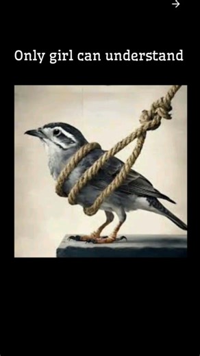 🐦#shortvideo #viral #subscribe #motivation #like #ytshorts #shorts #birds