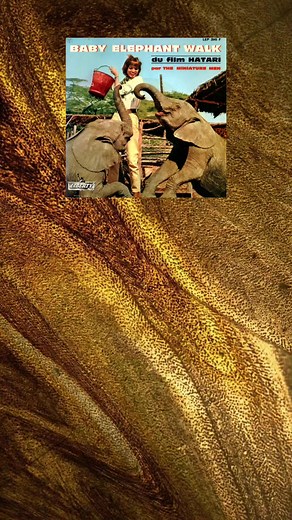 Henry Mancini - Baby Elephant Walk