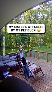 Angus has got BEEF (and he’s definitely not over it) 🥩😤 | Meme Lord