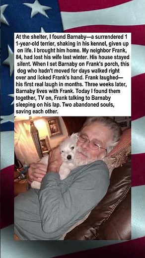 Old Dog and Widower Heal Together