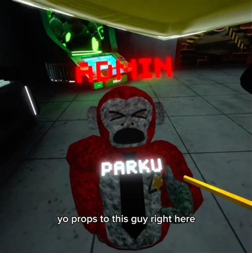 I guessed Parku's code during the livestream #fypシ #fyp #oculus #memesgtag #memes #vrecorder #gtag