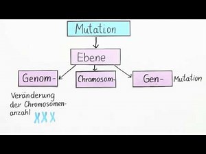 Mutation von Genen | Biologie | Genetik
