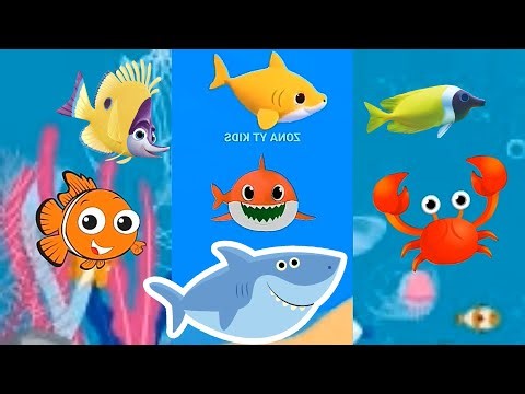 Baby Shark Sing Song with Dolphin octopus colors fish | Baby Shark Dance Song video | Animals Sea