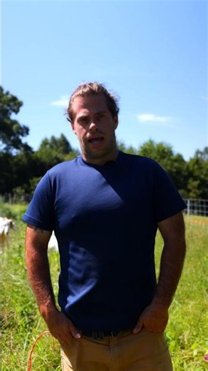 Why Farmers Use Goats to Close Out Summer #farming #agriculture #goats