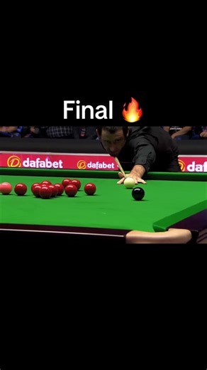 Snooker Final: Roni vs. Trump Highlights
