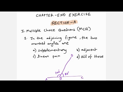 Chapter 6 lines and angles Chapter End Exercises Class 7 Excellence in mathematics