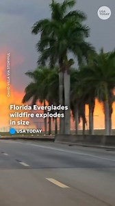 A massive wildfire in the Florida Everglades has scorched more than 40,000 acres, sending heavy plumes of smoke across southeast Florida. | The Palm Beach Post