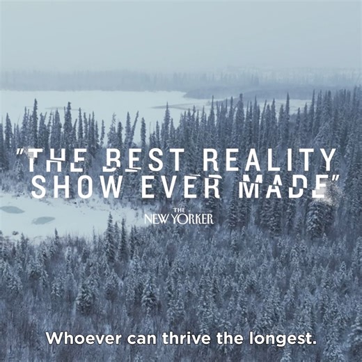 4.2K views · 14 reactions | Watch as 10 contestants face the unforgiving wilderness with nothing but their wits and determination in the brand new season of Alone, now streaming, only on Stan. #AloneOnStan | Stan. | Facebook