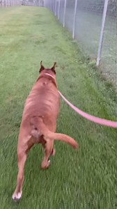 24K views · 700 reactions | UPDATE: we are reading through the apps...