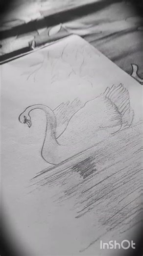 realistic swan drawing 🦢🌿 #art #artist #drawing #video #viral please subscribe 🙏🏻❤️