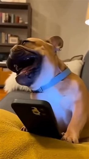 Vicki Schuerger | I’m reading the comments right now😭 | Instagram