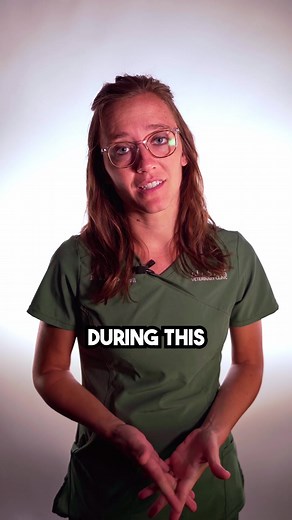 Caring Tips for Pet Euthanasia Process