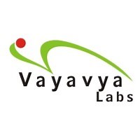 Vayavya Labs | LinkedIn