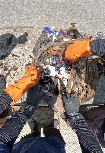 ¿por qué hacen esto? #pescamagnética