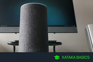Cómo activar y usar Spotify Free en Alexa y tus dispositivos Amazon Echo