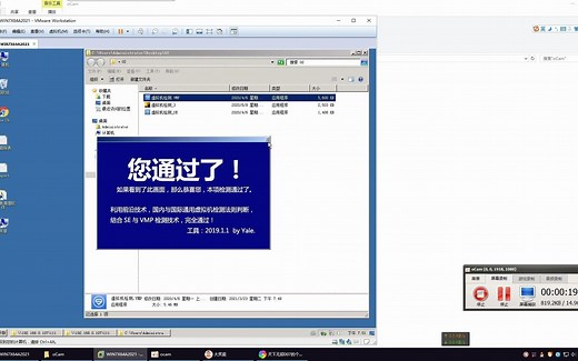 虚拟机多项检测vmp，se硬件虚拟化开启