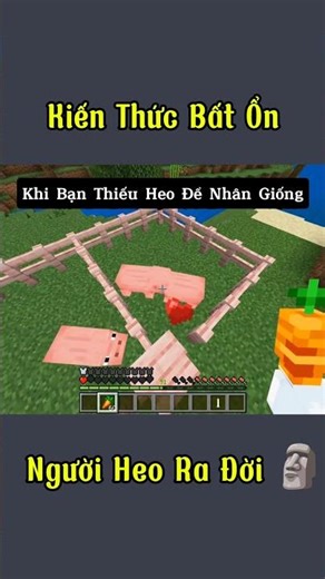 Khi Bạn Thiếu Heo Để Nhân Giống #shorts