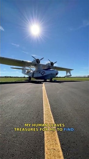 Is that a crumb? My mission begins now