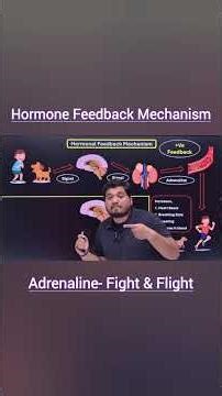 Hormonal Feedback Mechanism 🔥 | Adrenaline Fight or Flight Response | Class 10 & NEET Biology