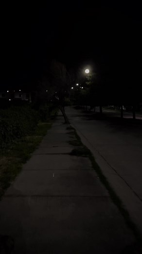 Forever Alone: Paulo Londra's Relatable Reflections