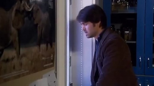 Decoys 2- Alien Seduction 2007