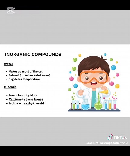 Grade 10 Life Sciences Study Guide for Term 1