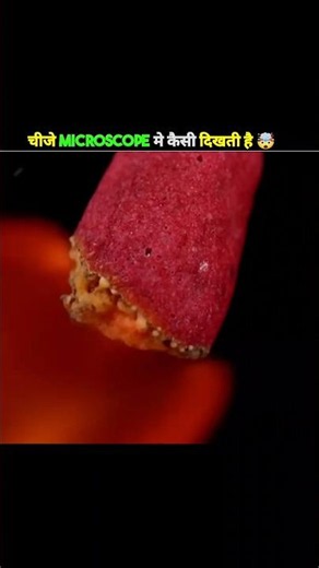 How things look under a microscope 🤯🤯 #microscope #explore #shortsfeed #youtubeshorts #facts
