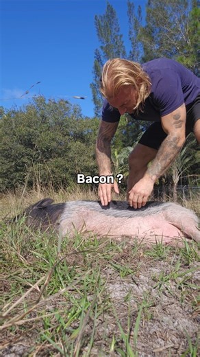 Jacob Lapalme | Online Fitness Coach | Stop the cognitive dissonance be kind be vegan #BaconLover #pig #vegan #veganstrength | Instagram