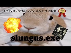 The slungus roblox experience in a nutshell