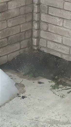 Restart the Process!