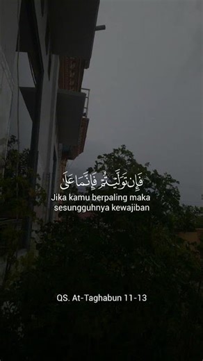 Qs. At - taghabun 11-13 #sorts #bismillah #alquran #alquranulkarim #surahattaghabun