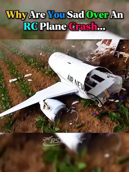 Boeing 787 Dreamliner RC Version Crashed Minutes After Takeoff 😰😭 #aviation #crash #edit #plane