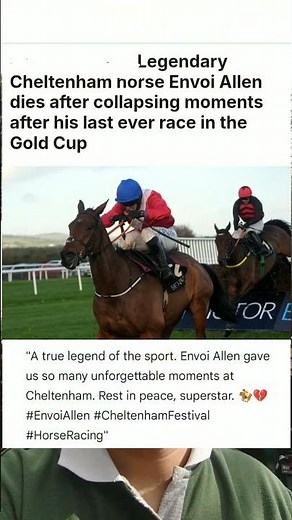 Legendary Cheltenham horse Envoi Allen dies after collapsing moments #sports #news
