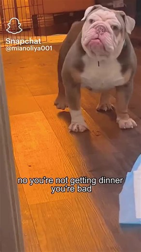 Paula Iske (@paula.iske)’s videos with original sound - Paula Iske