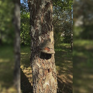 11K views · 48 reactions | ¡Exterior Inteligente! Consejos Esenciales para Tu Próxima Excursión de Campamento | Ideas en 5 minutos Familia | Facebook