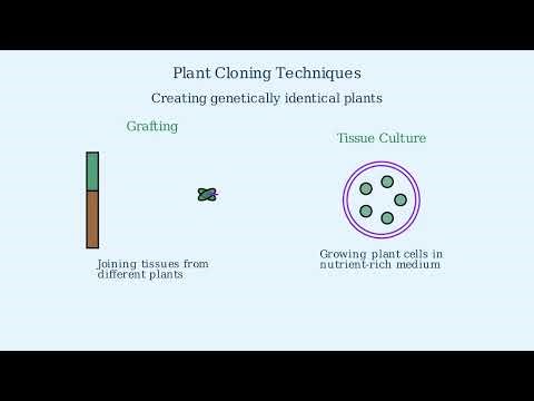 Different Types of Biotechnology Techniques Explained
