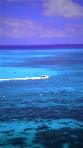 Paradise DJ Set - Caribbean Islands 4K Visuals | EDM 4 min #shorts