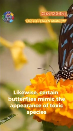 [S.S. Re] 38: The Batesian Mimicry #science #shorts #facts #learning #mindblowingfacts