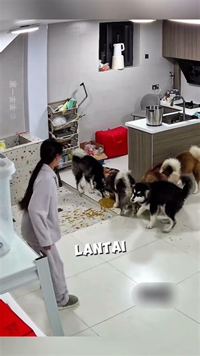 This Husband Thought He Could Escape His Wife's Nagging, But... 😅📹